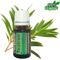 Pure Naturals Etherische Olie Tea-tree 10ml