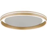Paul Neuhaus Plafondlamp Q-Vito Mat Messing 59cm