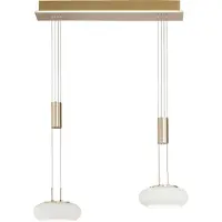 Paul Neuhaus 2-lichts hanglamp Q-Etienne messing