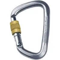 Singing Rock D Screwlock stalen schroefkarabiner (Maat One Size)