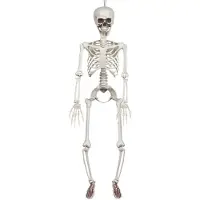 Boland Hangdecoratie Skelet 90cm | Halloween deco (naturel)