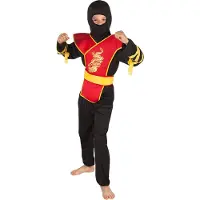 Boland Ninja master pakje kind