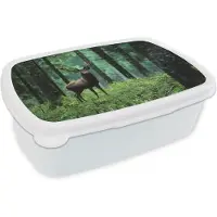 MuchoWow Broodtrommel Wit - Lunchbox - Brooddoos - Hert - Bos - Bomen - Dieren - Natuur - 18x12x6 cm - Volwassenen