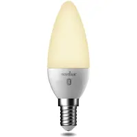 Nordlux 2070021401 Gloeilamp-lamp Energielabel F (A - G) E14 Peer Besturing via App, Dimbaar 1 stuk(s)