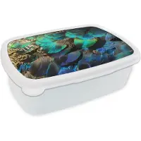MuchoWow Broodtrommel Wit - Lunchbox - Brooddoos - Veren - Pauwveren - Pauw - Blauw - Kunst - 18x12x6 cm - Volwassenen