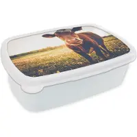 MuchoWow Broodtrommel Wit - Lunchbox - Brooddoos - Koe - Zonsondergang - Bloemen - Gras - Dieren - 18x12x6 cm - Volwassenen