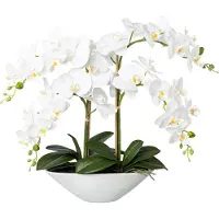 Kopu kunstbloem orchidee 53 cm met schaal ovaal phalenopsis