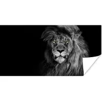 PosterMonkey Poster Leeuw - Ogen - Oranje - Zwart wit - Dieren - Portret - 160x80 cm