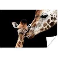 PosterMonkey Poster Giraffe - Dieren - Zwart - Portret - Dieren - 60x40 cm