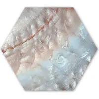 MuchoWow Hexagon wanddecoratie - Kunststof Wanddecoratie - Hexagon Schilderij - Schelpen - Abstract - Natuur - 75x65 cm - Kerstdecoratie in huis - Kerstmis