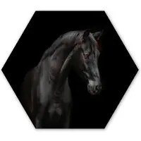 MuchoWow Hexagon wanddecoratie - Kunststof Wanddecoratie - Hexagon Schilderij - Paard - Dieren - Zwart - Portret - 120x103 cm