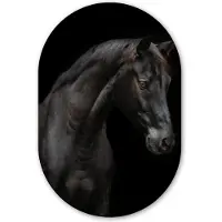 MuchoWow Muurovaal 60x90 cm - Ovale wanddecoratie Paard - Dieren - Zwart - Portret - Ovalen schilderij - Muurdecoratie woonkamer - Kamer decoratie - Schilderijen - Wandcirkel
