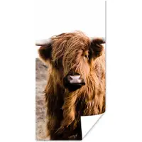 PosterMonkey Poster Schotse hooglander - Landschap - Koe - Bruin - Dieren - Natuur - 75x150 cm