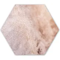 MuchoWow Hexagon wanddecoratie - Kunststof Wanddecoratie - Hexagon Schilderij - Pampasgras - Structuur - Planten - Natuur - 37x32 cm - Kerstdecoratie in huis - Kerstmis