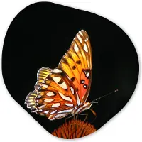 MuchoWow Organische wanddecoratie 90x90 cm - Organisch schilderij Vlinder - Bloemen - Insect - Portret - Zwart - Oranje - Muurdecoratie woonkamer - Kamer decoratie - Schilderijen - Muurcirkel aesthetic