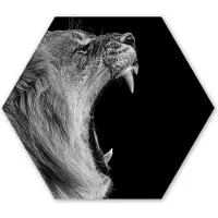 MuchoWow Hexagon wanddecoratie - Kunststof Wanddecoratie - Hexagon Schilderij - Dieren - Leeuw - Zwart - Wit - Portret - 75x65 cm