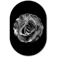 MuchoWow Muurovaal 40x60 cm - Ovale wanddecoratie Bloemen - Roos - Zwart - Wit - Botanisch - Ovalen schilderij - Muurdecoratie woonkamer - Kamer decoratie - Schilderijen - Wandcirkel