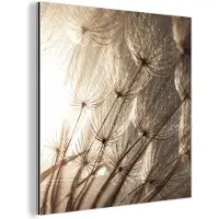MuchoWow Wanddecoratie Metaal - Aluminium Schilderij Industrieel - Bloemen - Planten - Winter - Sepia - Sneeuw - 90x90 cm - Dibond - Foto op aluminium - Industriële muurdecoratie - Voor de woonkamer/slaapkamer