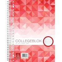 Work collegeblok A4 - ruit 5 mm - 70 grams - 23 gaats - 80 vel - 5 stuks
