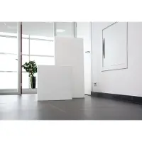 Ecosun E700 infrarood paneel plafond 120x60cm 700W