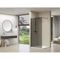Van Rijn ST01 inloopdouche met rookglas 100x200cm zwart mat