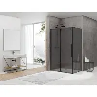 Van Rijn ST06 douchecabine met 160cm softclose deur en rookglas matzwart 160x100cm
