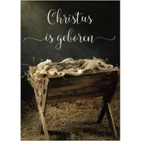 MajesticAlly Christelijke kerstkaarten | Voordeelpakket | 10 kerstkaarten met enveloppen | Christus is geboren - kribbe |