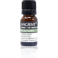 Ancient Wisdom Biologische Etherische Olie Rozemarijn – 10ml – Aromatherapie