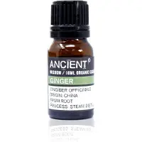 Ancient Wisdom Biologische Etherische Olie Gember - 10ml - Essentiële Oliën Aromatherapie