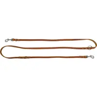Animal Boulevard Ab30079 - Hals- En Leibanden - Hond - Ab Country Leather Handvrij Leiband Cognac-12mmx200cm - Maat: 12mmx200cm - 205317