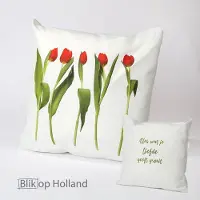HUGS buitenkussen | dansende tulpen | 50x50 | dubbelzijdig | outdoor kussen | tuinkussen met tekst | terras aankleding | waterafstotend