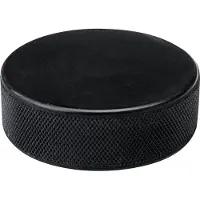Nijdam IJshockeypuck - Zwart - Zwart