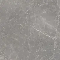Floorgres Tegel 80 x 80 cm - Donkergrijs - Porcellanato - Vierkant - 2 stuks - 1,28 m2 - Natuursteenlook - Wandtegels - Tegels - 761188