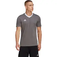 Adidas Functioneel shirt 'Entrada 22' lichtgrijs / wit