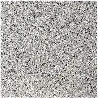 Terre d'Azur Terre d´Azur Granito terrazzo vloertegel treviso 40x40 gerectificeerd