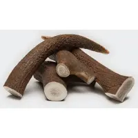 Cloud7 Herten gewei - Heel - Small - 1 stuk - 25 tot 50 gram