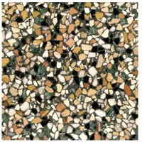 Terre d'Azur Terre d´Azur Granito terrazzo vloertegel roma 40x40 gerectificeerd