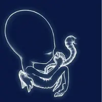 Warner Ada Agaetis Byrjun