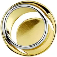 Trendjuwelier huiscollectie Hanger Bicolor Goud Poli/mat
