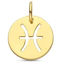 The Jewelry Collection Hanger Sterrenbeeld Vissen.