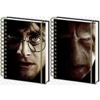 Hole in the Wall Harry Potter Harry & Voldemort 3D Cover- A5 3D Lenticular Notitieboek