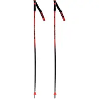 Rossignol Hero Gs-sg Stokken