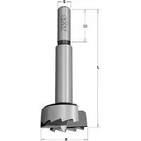 Cmt Forstnerboor met cylindrische schacht, rechts 22 mm