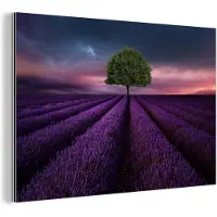 MuchoWow Wanddecoratie Metaal - Aluminium Schilderij Industrieel - Lavendel - Boom - Paars - 180x120 cm - Dibond - Foto op aluminium - Industriële muurdecoratie - Voor de woonkamer/slaapkamer