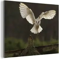 MuchoWow Wanddecoratie Metaal - Aluminium Schilderij Industrieel - Vliegende kerkuil - 160x120 cm - Dibond - Foto op aluminium - Industriële muurdecoratie - Voor de woonkamer/slaapkamer