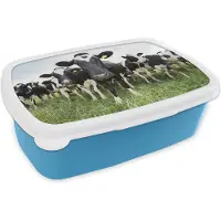 MuchoWow Broodtrommel Blauw - Lunchbox - Brooddoos - Koeien - Gras - Lente - Dieren - Weiland - Boerderij - 18x12x6 cm - Kinderen - Jongen