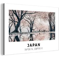 MuchoWow Wanddecoratie Metaal - Aluminium Schilderij Industrieel - Sakura - Japan - Lente - 30x20 cm - Dibond - Foto op aluminium - Industriële muurdecoratie - Voor de woonkamer/slaapkamer