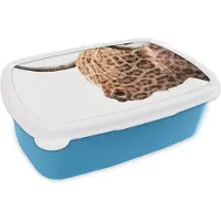 MuchoWow Broodtrommel Blauw - Lunchbox - Brooddoos - Schotse hooglander - Panterprint - Wit - 18x12x6 cm - Kinderen - Jongen