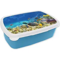 MuchoWow Broodtrommel Blauw - Lunchbox - Brooddoos - Zee - Vis - Koraal - Onderwaterwereld - 18x12x6 cm - Kinderen - Jongen