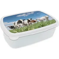 MuchoWow Broodtrommel Wit - Lunchbox - Brooddoos - Koeien - Platteland - Weiland - Natuur - Dieren - 18x12x6 cm - Volwassenen